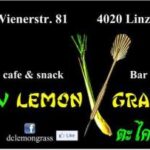 DSV Lemongrass vs ASKÖ DSZ – L Dragons
